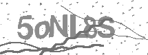 visual captcha